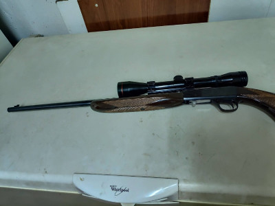 Rifle calibre 22 con visor