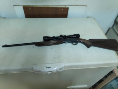 Rifle calibre 22 con visor