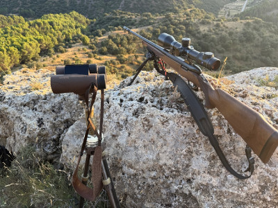 Rifle cerrojo browning