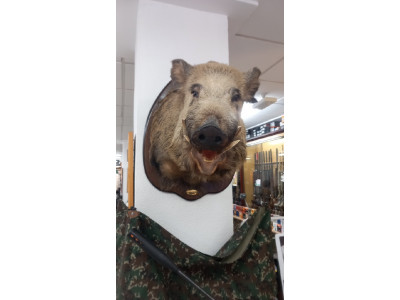 Rifle cerrojo zastava