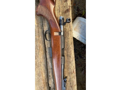 Ceska 22 magnum