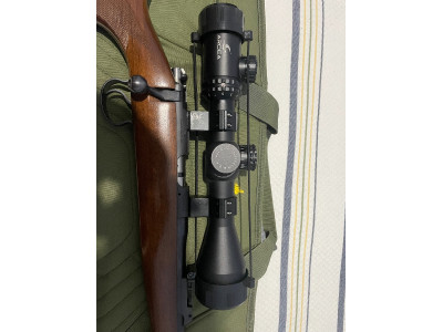 Rifle ceska calibre 22