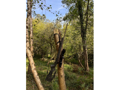 Rifle CVA CASCADE LRX