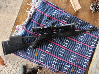 Rifle CVA Scout Monotiro Bergara BA13