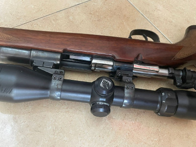 Rifle de cerrojo con visor y montura