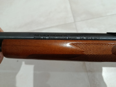 Rifle del 22 LR SEMIAUTOMÁTICO