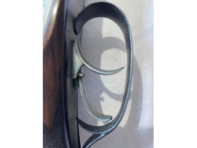 Rifle Express austriaco