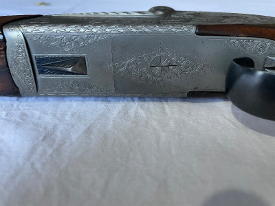 Rifle Express austriaco