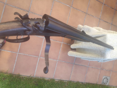 Rifle express E.M. REILLY express