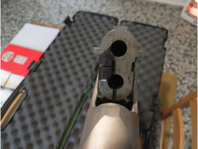 Rifle Express Tikka 3006