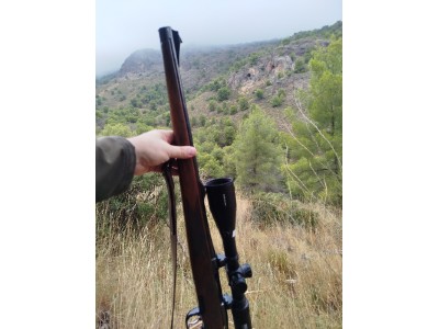 Rifle malinncher stutzen calibre 270 win