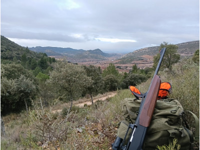 Rifle Merkel sr1 cal 300