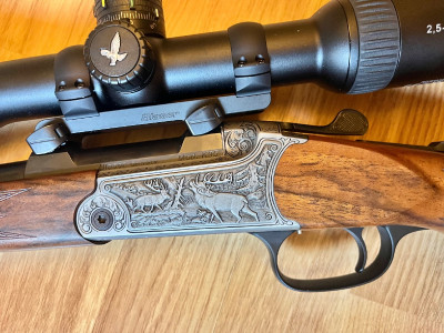 Rifle monotiro Blaser K95