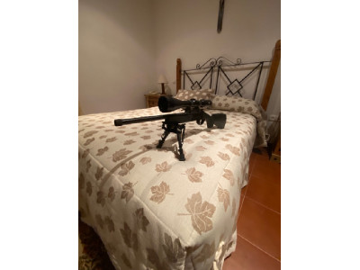 Rifle monotiro CrackShot .17 HMR