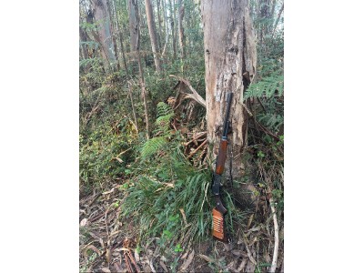 Rifle palanquero marlin 444