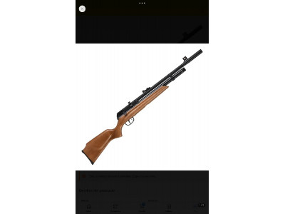 Rifle PCP Beeman Raider Cal. .25
