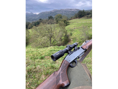 Rifle remigton 7400 con bases apel y visor avistar