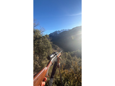 Rifle Remington 750 cal 30.06