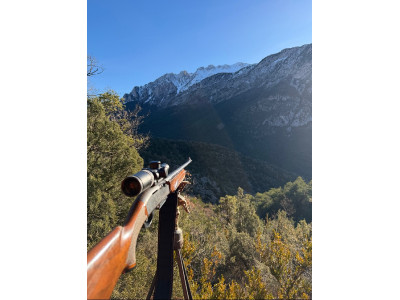 Rifle Remington 750 cal 30.06