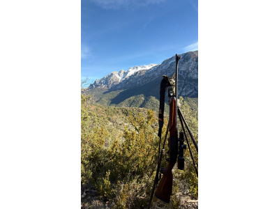 Rifle Remington Woodmaster 750 cal 30.06