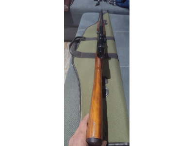 Rifle reminton calibre 22