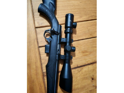 Rifle Rossi 17hmr con rosca