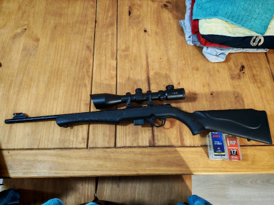 Rifle Rossi 17hmr con rosca