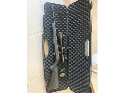 RIFLE ROSSI 8117 17HMR