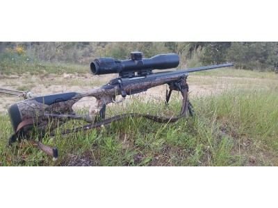 Rifle Sako S20 y swarovski DS