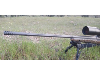 Rifle Sako S20 y swarovski DS