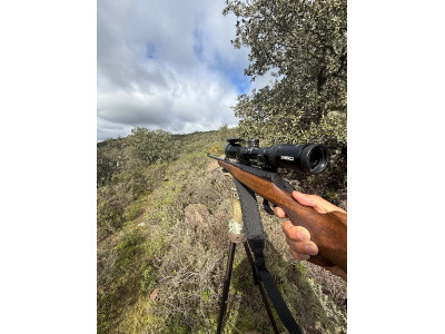 Rifle Sauer 100 Classic 300 WM