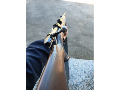 Sauer-Weatherby Europa 8x68S