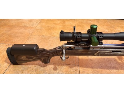 Rifle Savage 12 Palma 308W