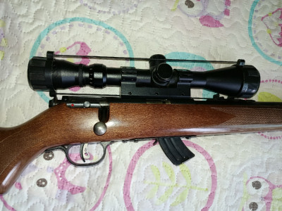 Rifle savage calibre 22
