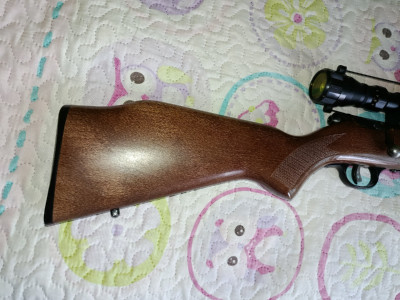 Rifle savage calibre 22