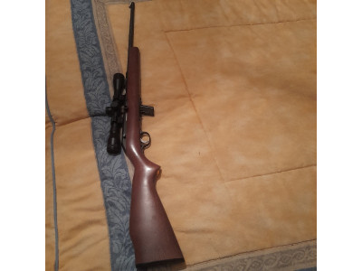 Rifle savage calibre 22