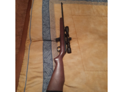 Rifle savage calibre 22