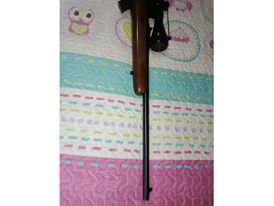 Rifle savage calibre 22