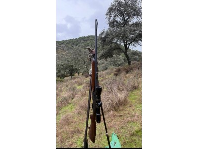 Rifle Semi Remington 7400 30-06