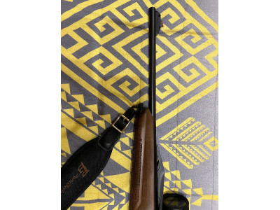 Rifle semiautomatico Argo