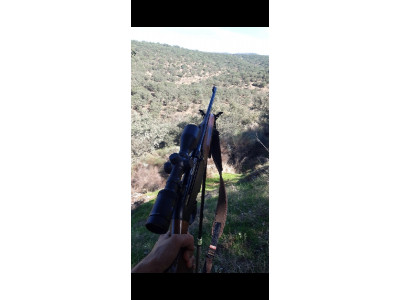 Rifle semiautomático benelli argo E