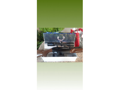Rifle semiautomático benelli argo E