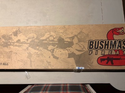 Rifle semiautomático bushmaster 450