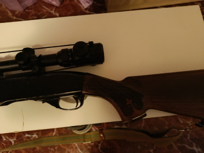 Rifle semiautomático