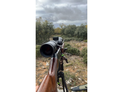 Rifle semiautomático Browning bar 2