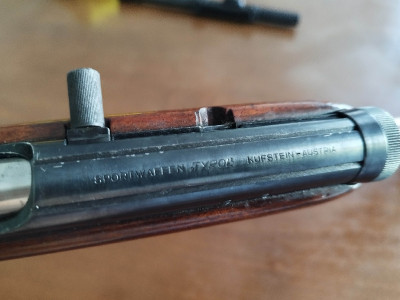 Rifle semiautomático calibre 22 lr Tyrol, Austria, con vi