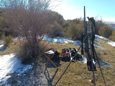Rifle Seven 243,un juguete
