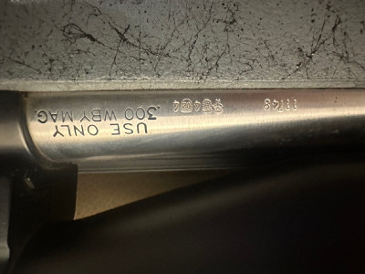 RIFLE WEATHERBY MARK V OCN SWAROSKI Z-6