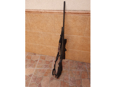 Rifle Wheatherby 243