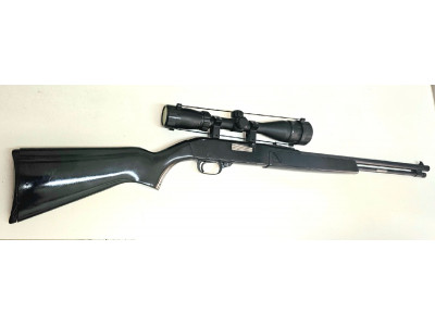 Winchester 22Lr